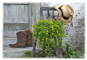 Hasty Note . . . Barn